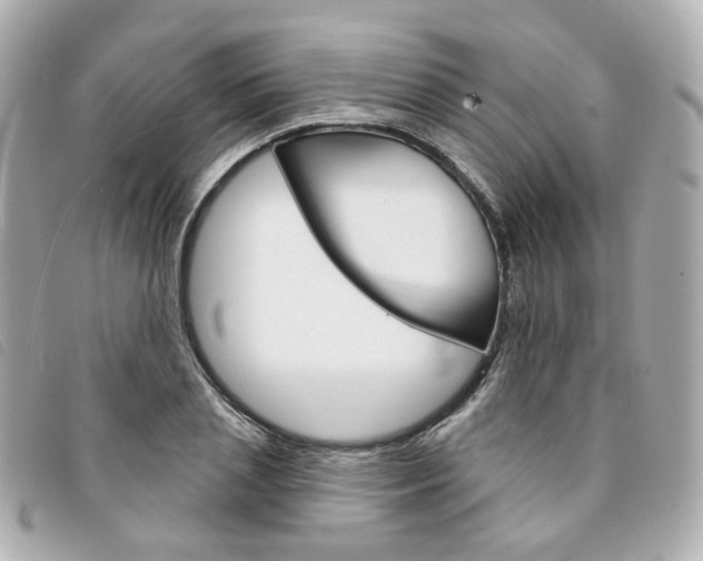 X0000094210837200710260931
