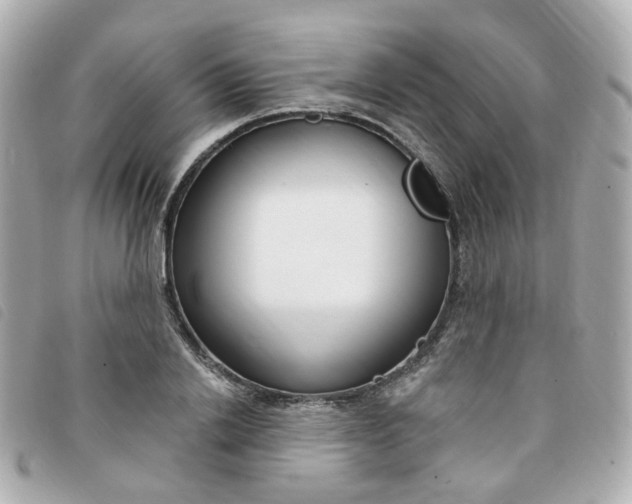 X0000094210838200710260931