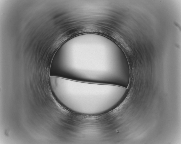 X0000094210841200710260931