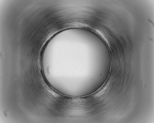 X0000094210843200710260931
