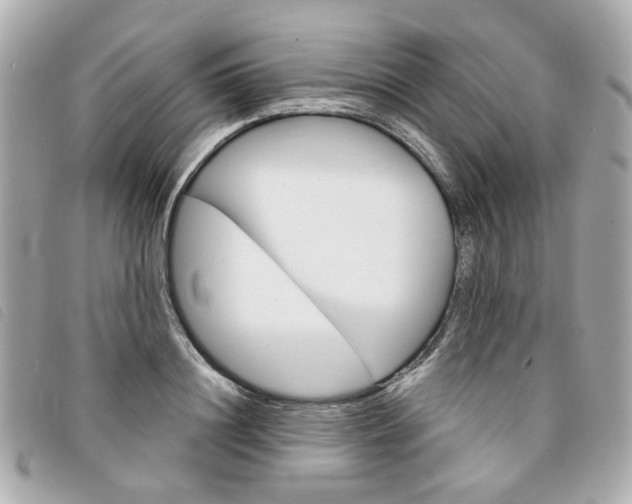 X0000094210844200710260931