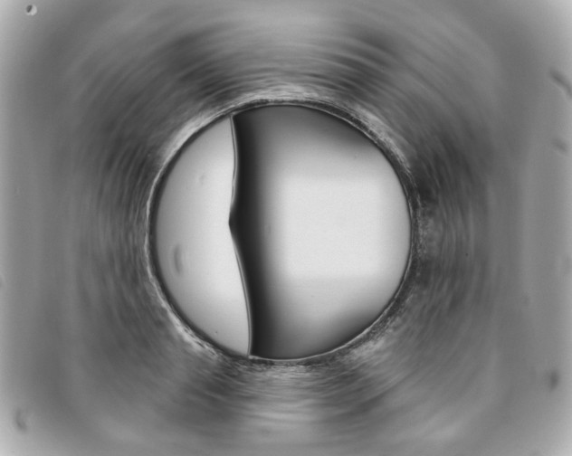 X0000094210845200710260931