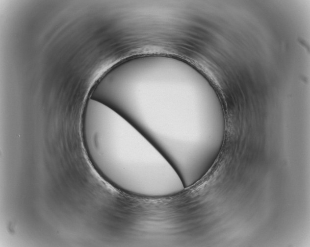 X0000094210847200710260931