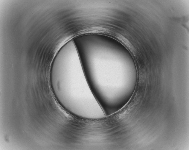 X0000094210850200710260931