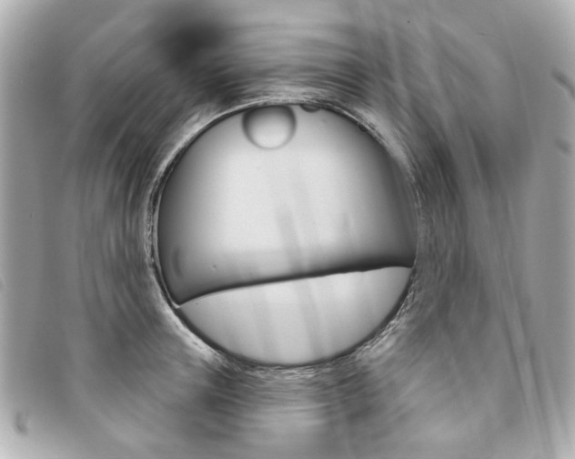 X0000094210851200710260931