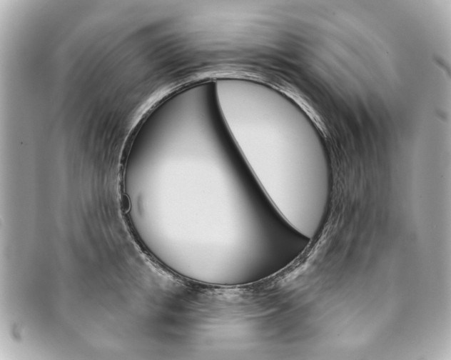 X0000094210853200710260931
