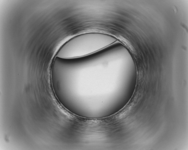 X0000094210854200710260931