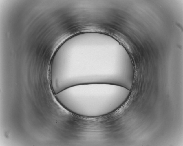 X0000094210855200710260931