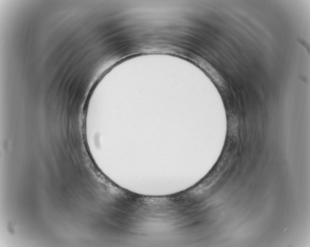 X0000094210856200710260931