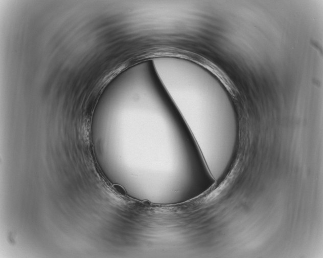 X0000094210857200710260931