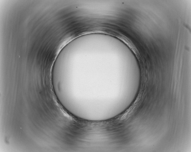 X0000094210858200710260931
