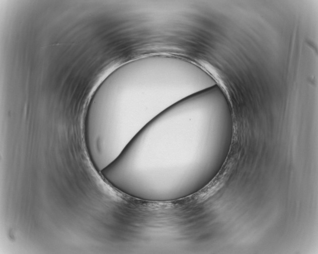 X0000094210859200710260931