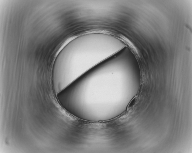 X0000094210860200710260931