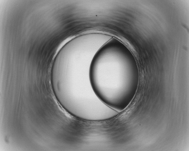 X0000094210862200710260931