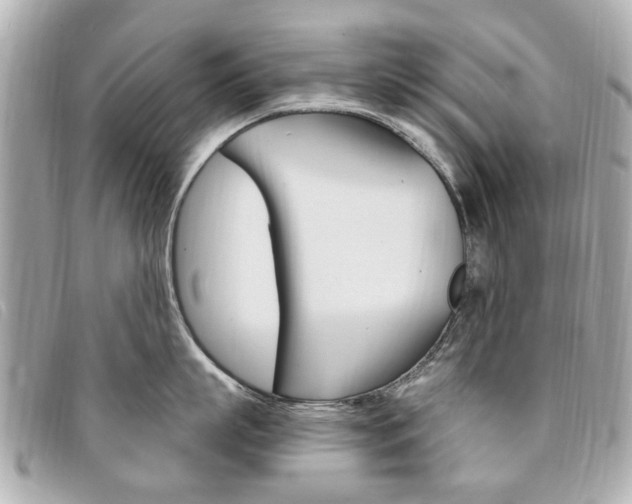 X0000094210863200710260931