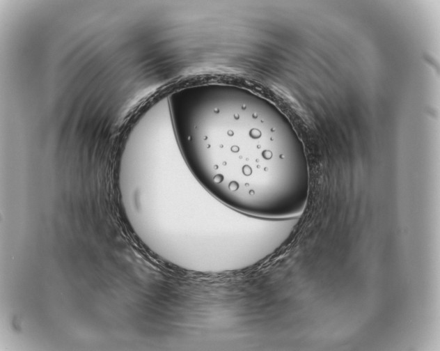 X0000094210872200710260931