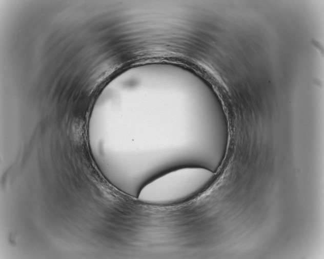 X0000094210873200710260931