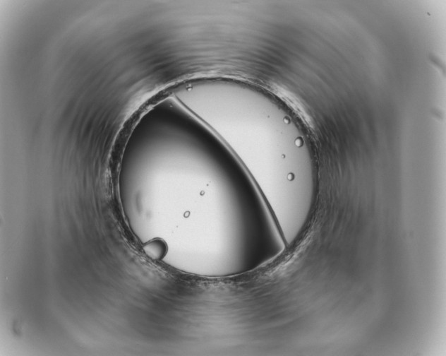 X0000094210876200710260931