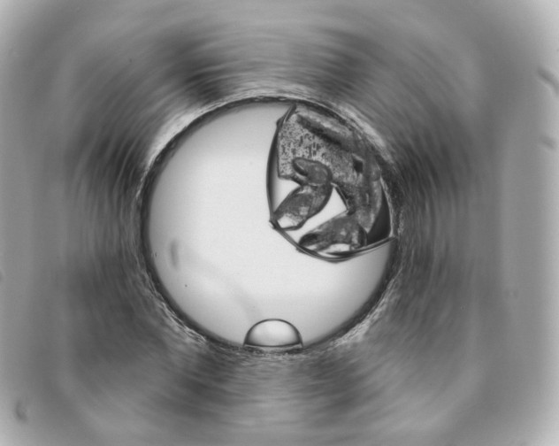 X0000094210877200710260931