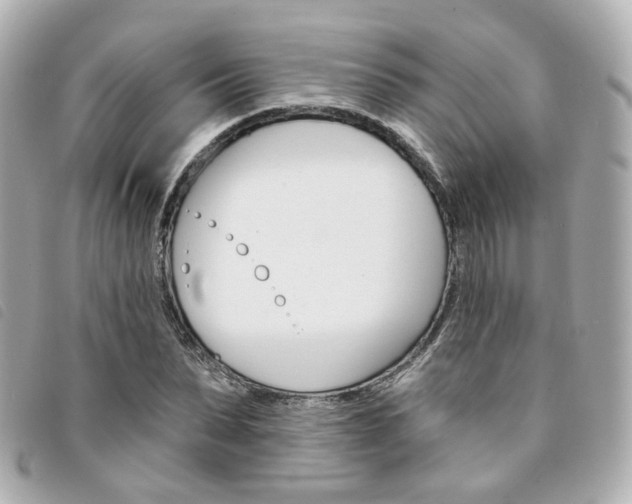 X0000094210879200710260931