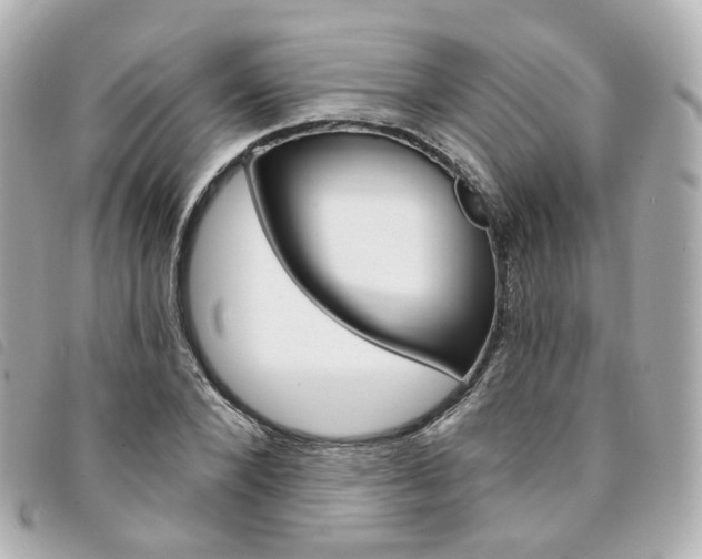 X0000094210880200710260931