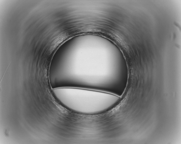 X0000094210881200710260931