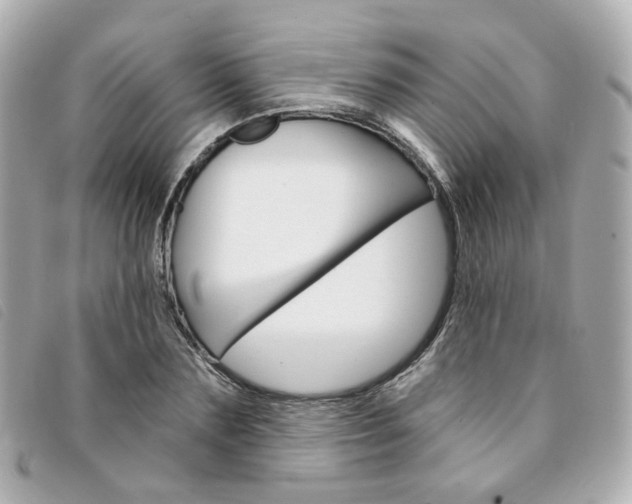 X0000094210883200710260931