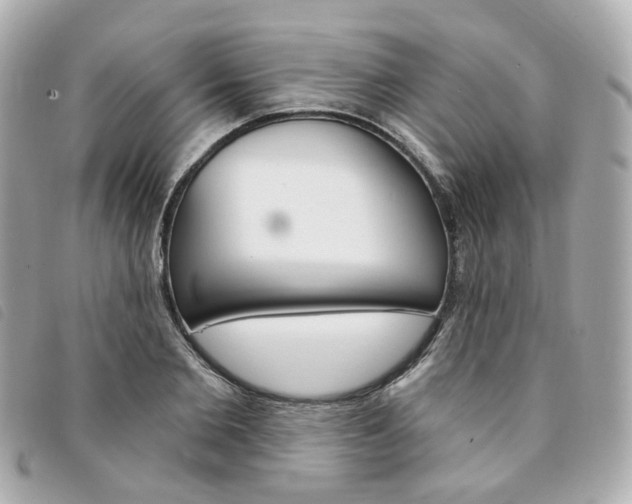 X0000094210885200710260931