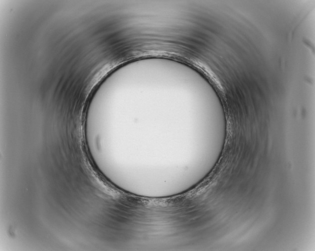 X0000094210890200710260931