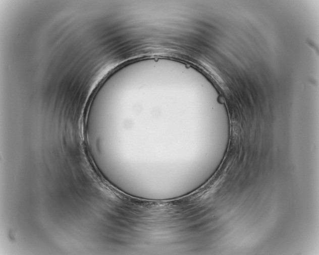 X0000094210891200710260931