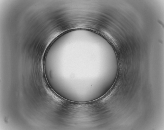 X0000094210892200710260931