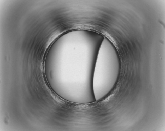 X0000094210893200710260931