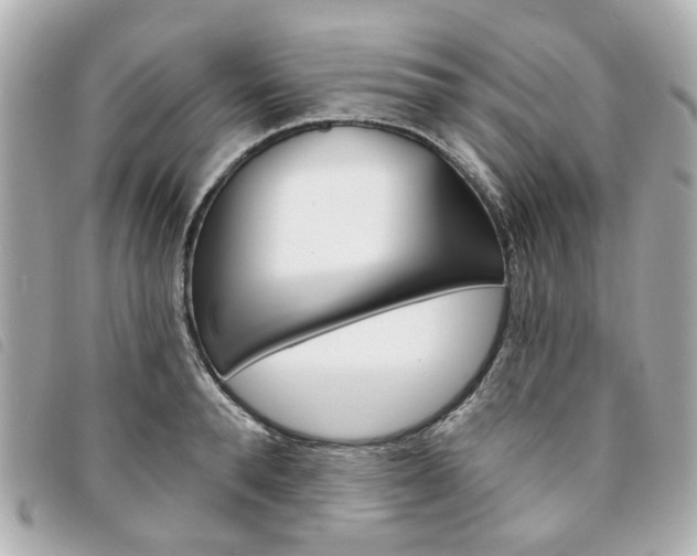 X0000094210896200710260930