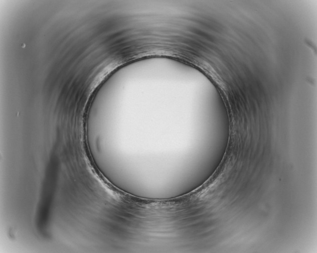 X0000094210898200710260930
