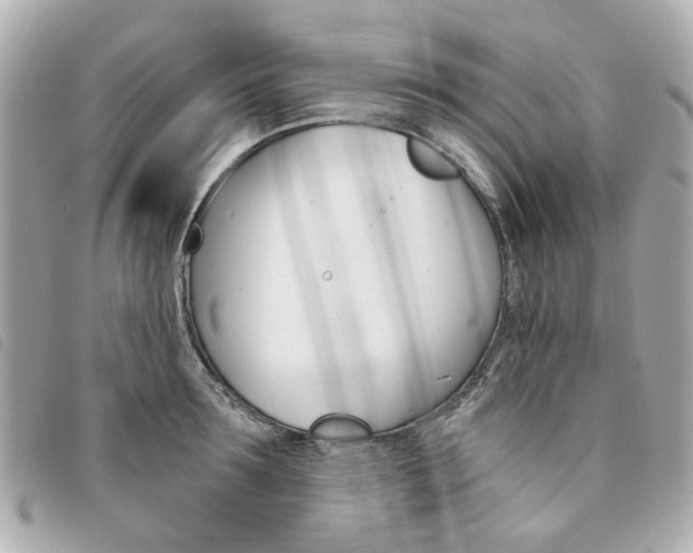 X0000094210899200710260930