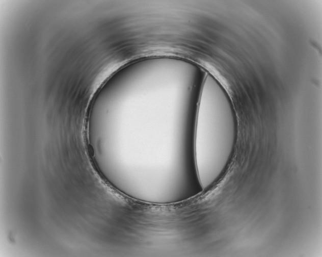 X0000094210901200710260930