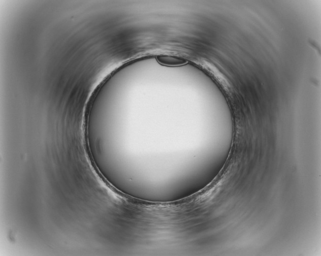 X0000094210902200710260930