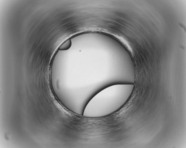 X0000094210903200710260930