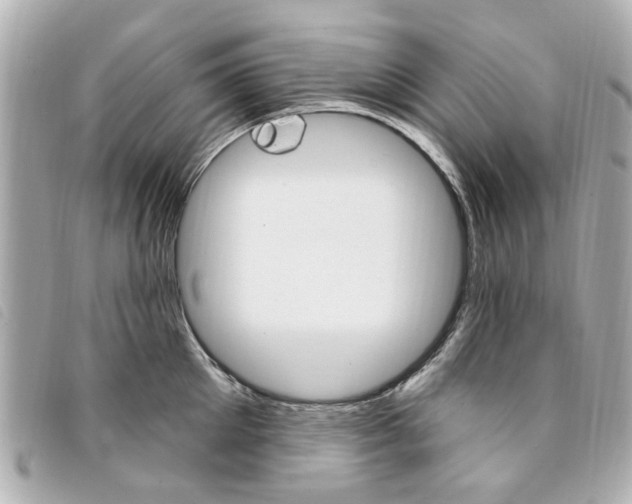 X0000094210905200710260930
