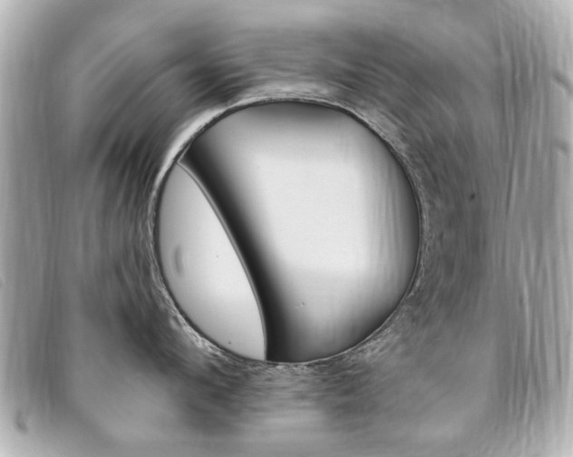 X0000094210912200710260930