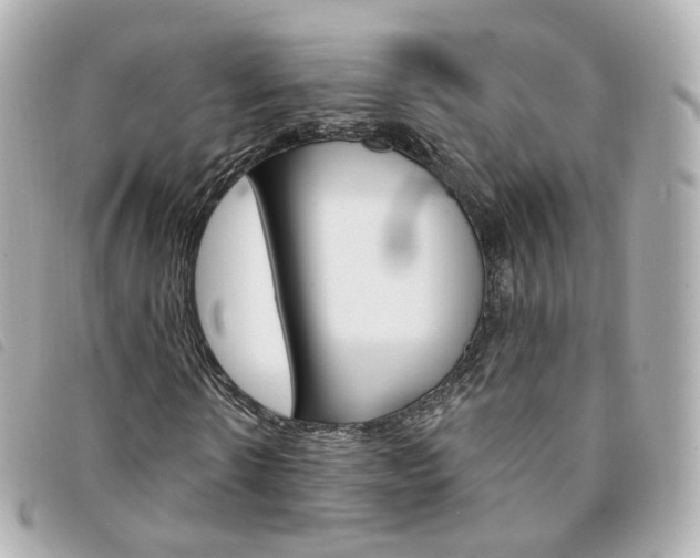 X0000094210914200710260930