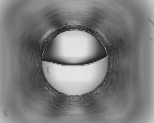 X0000094210919200710260930