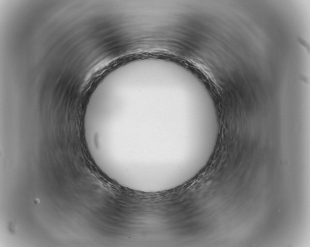X0000094210920200710260930