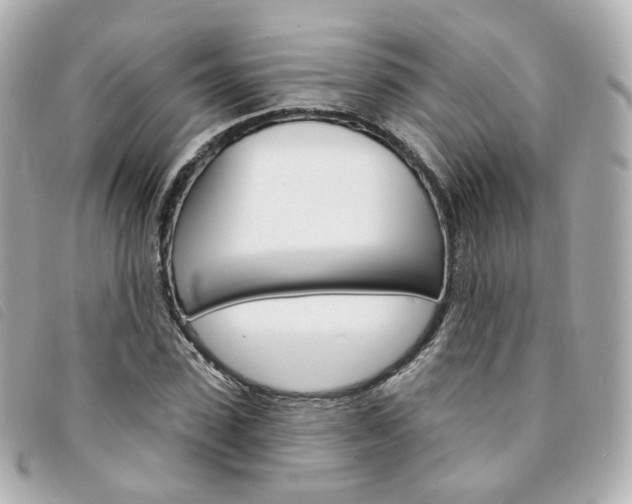 X0000094210923200710260930