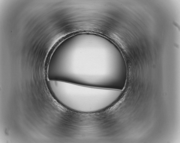 X0000094210924200710260930