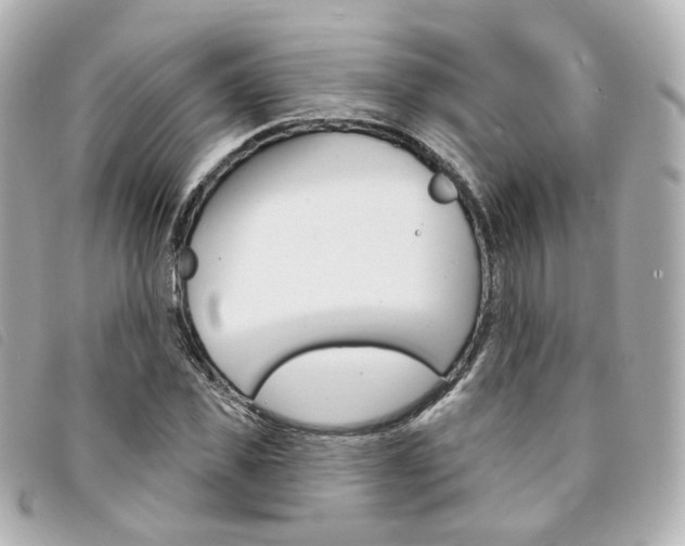 X0000094210925200710260930