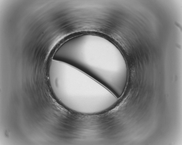 X0000094210926200710260930