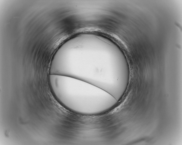 X0000094210929200710260930