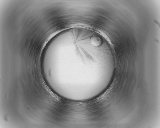 X0000094210931200710260930