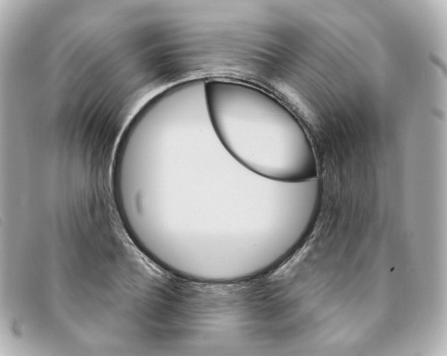 X0000094210932200710260930